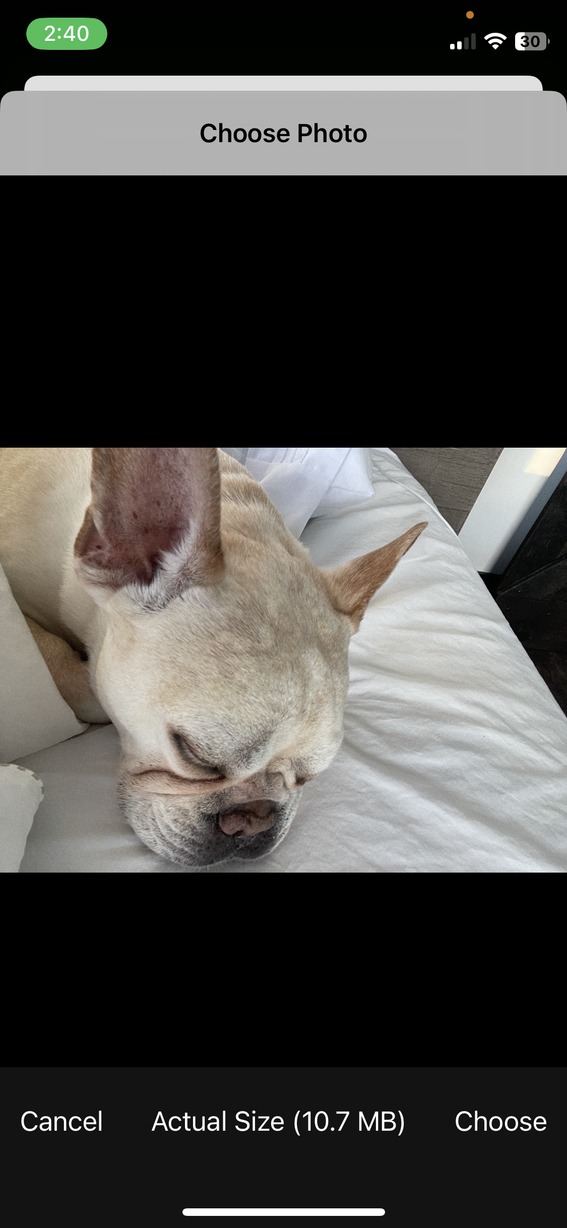 New Parent Meal Service