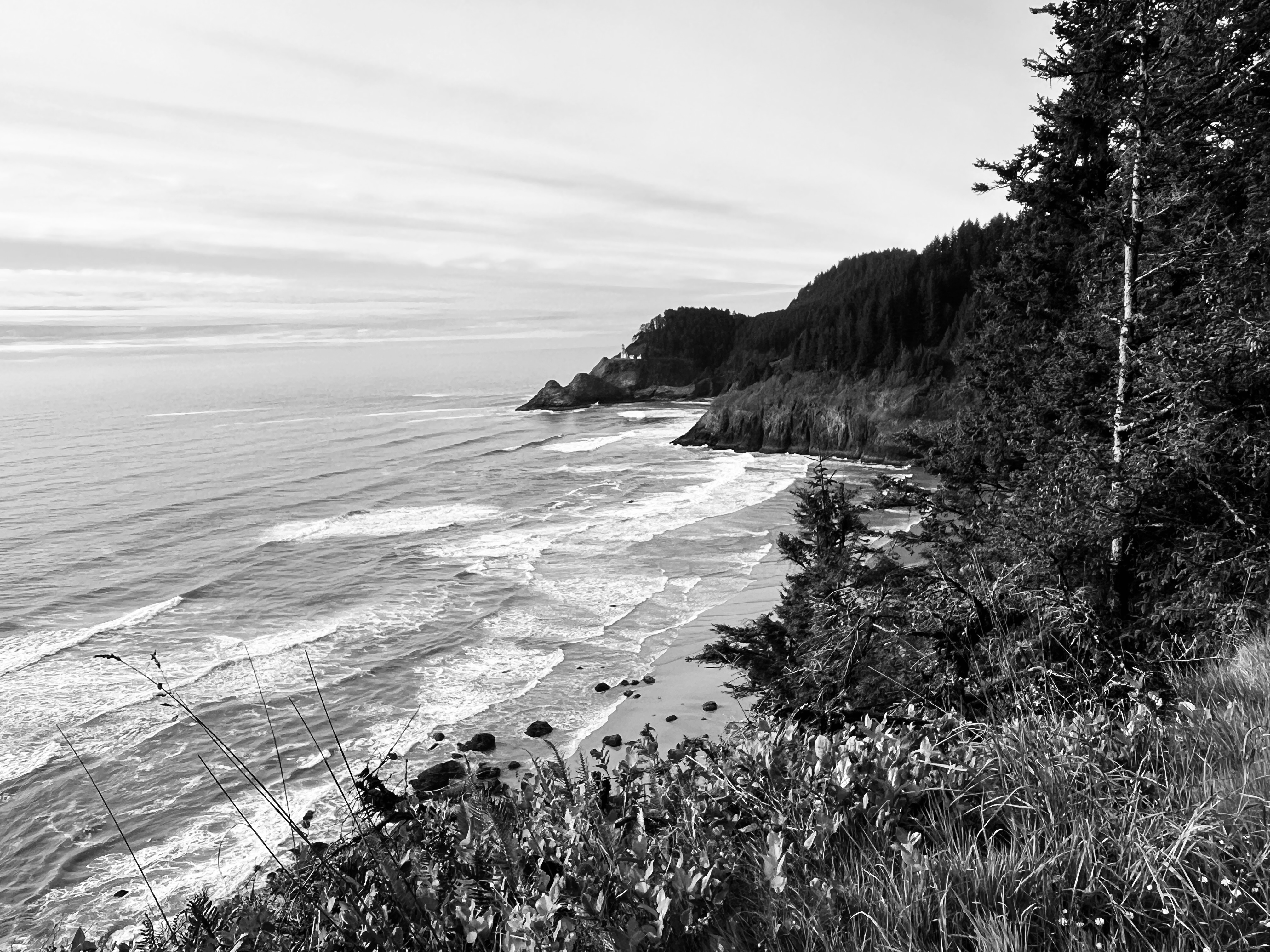 Starlight Dopple Community Gifting Program